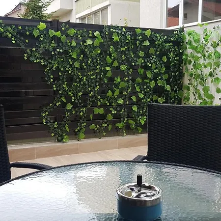 Cu Terasa * Năvodari